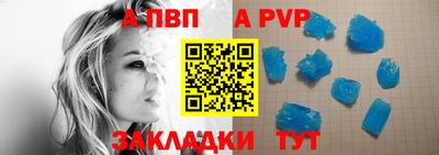 дмт Кингисепп