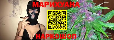 дмт Кингисепп