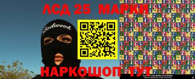 ПСИЛОЦИБИНОВЫЕ ГРИБЫ Кинель