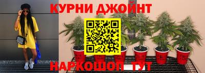 ПСИЛОЦИБИНОВЫЕ ГРИБЫ Кинель