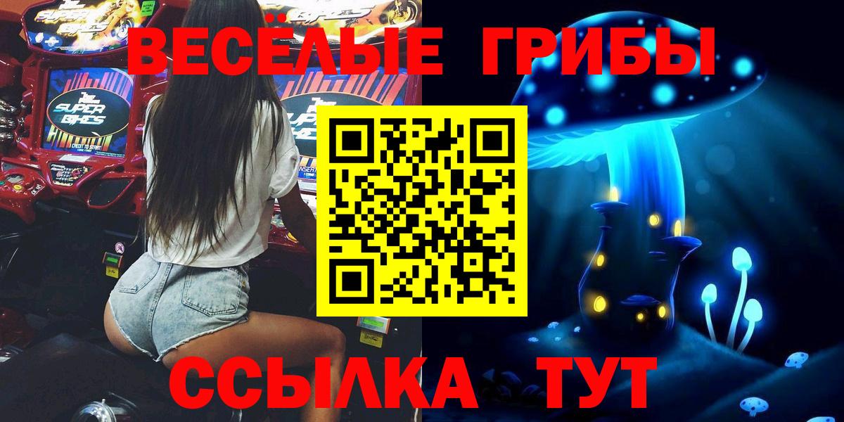 Галлюциногенные грибы MAGIC MUSHROOMS  Вход с VPN  Кудымкар 